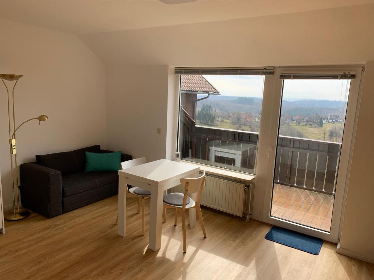 Gemuetliche Ferienwohnung Harz Braunlage Hohegeiss Exteriör bild