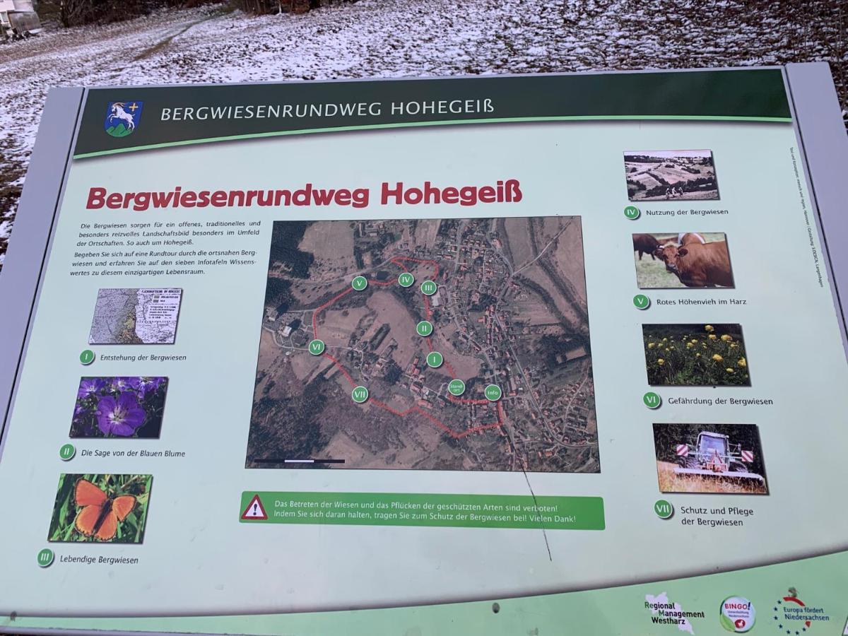Gemuetliche Ferienwohnung Harz Braunlage Hohegeiss Exteriör bild