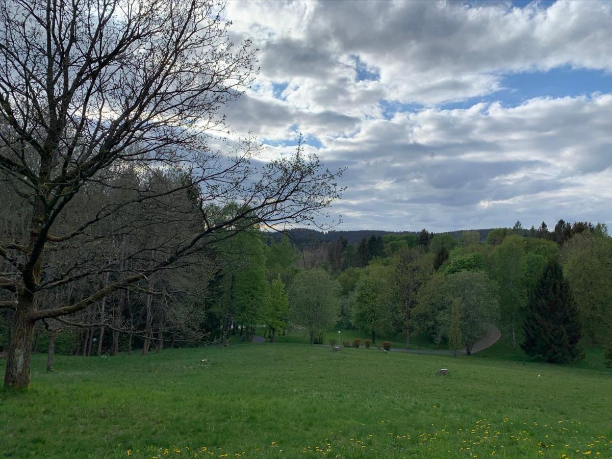 Gemuetliche Ferienwohnung Harz Braunlage Hohegeiss Exteriör bild