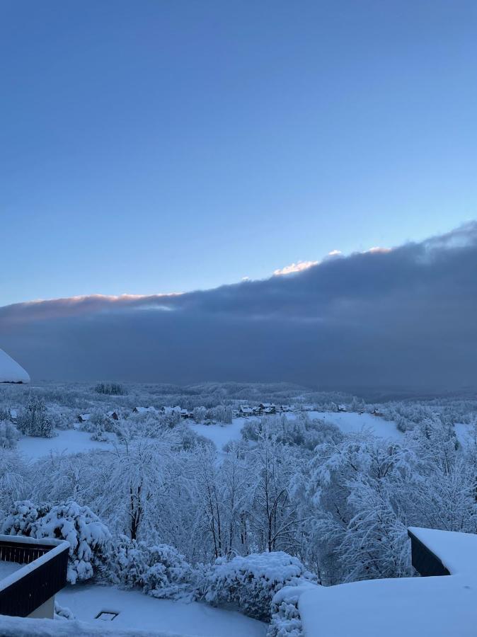 Gemuetliche Ferienwohnung Harz Braunlage Hohegeiss Exteriör bild